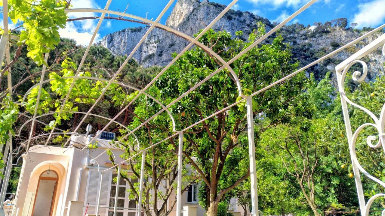 Don Raffaé * Capri