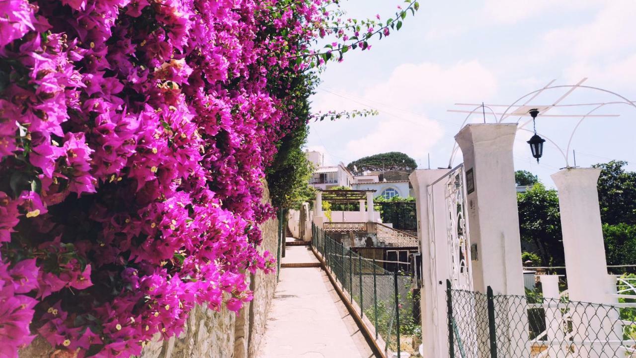 Maison d'hôtes Don Raffaé Capri